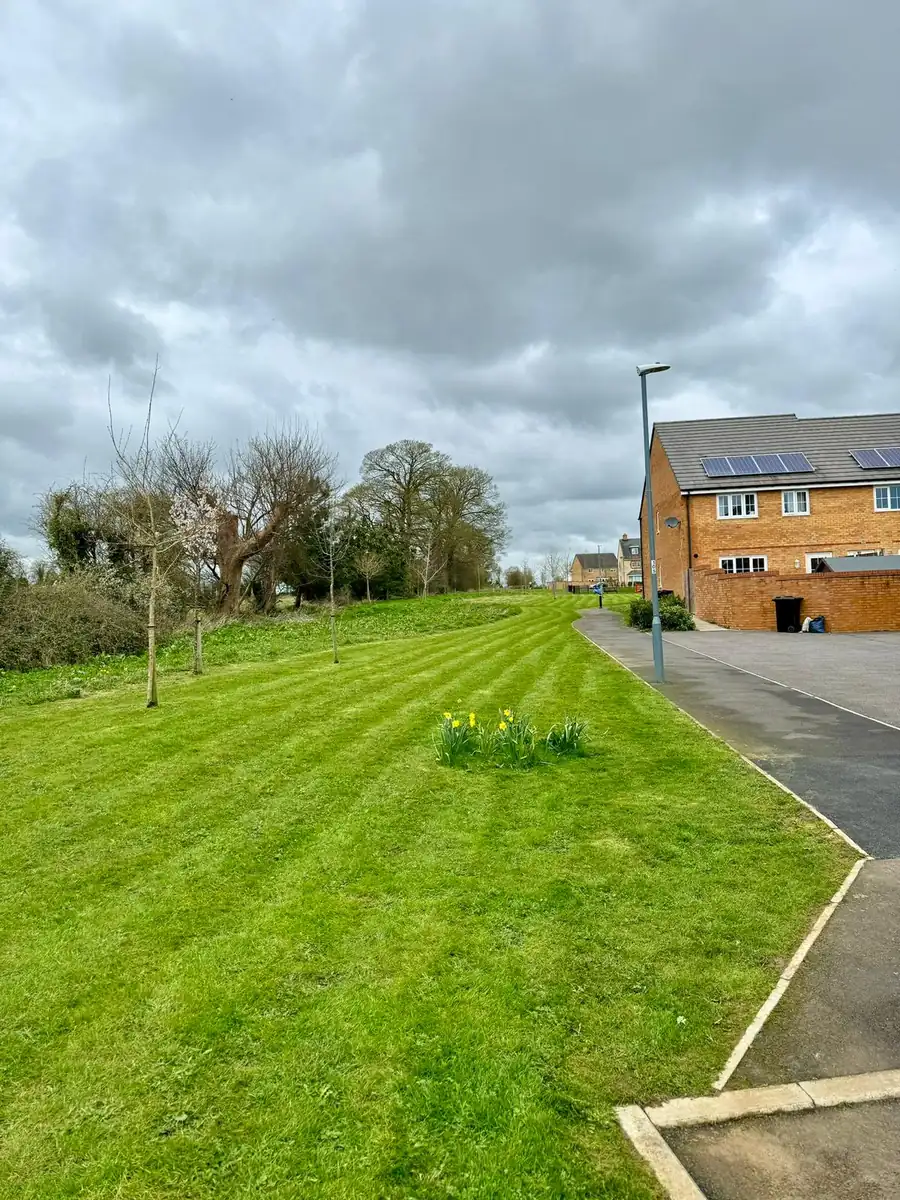 Striped communal lawn maintained by South West Bin Cleaning Co