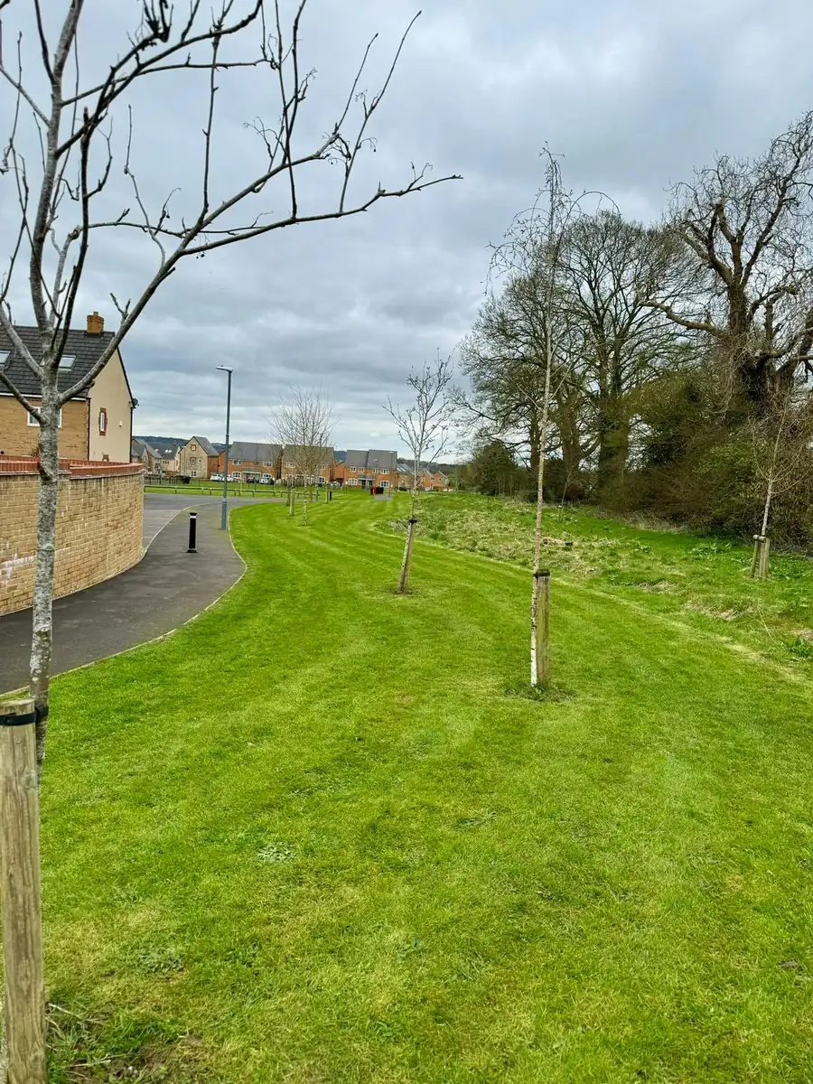 Maintained communal grounds with young trees and a footpath South West