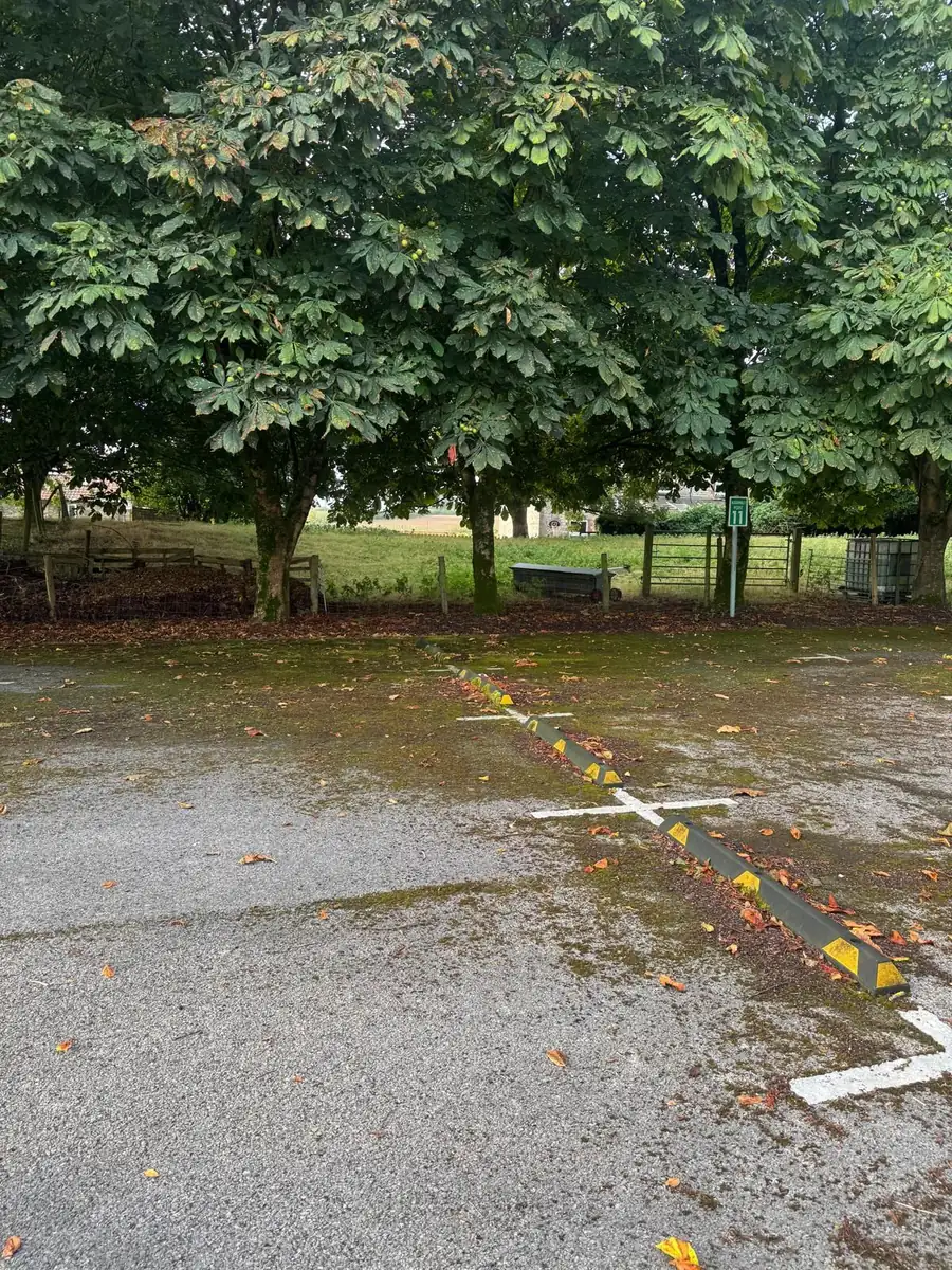Moss and leaf debris around a car park speed bump before clearance
