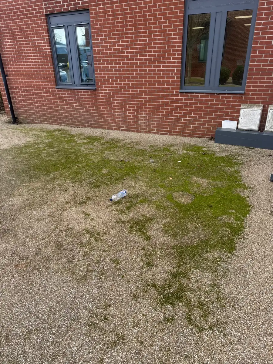 Gravel area beside a building overgrown with weeds and moss before clearance